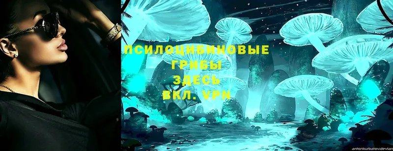 ссылка на мегу tor  Трёхгорный  Галлюциногенные грибы Magic Shrooms 